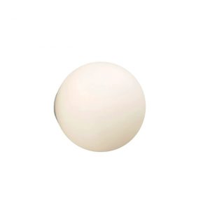 Dioscuri Ceiling/Wall Lamp